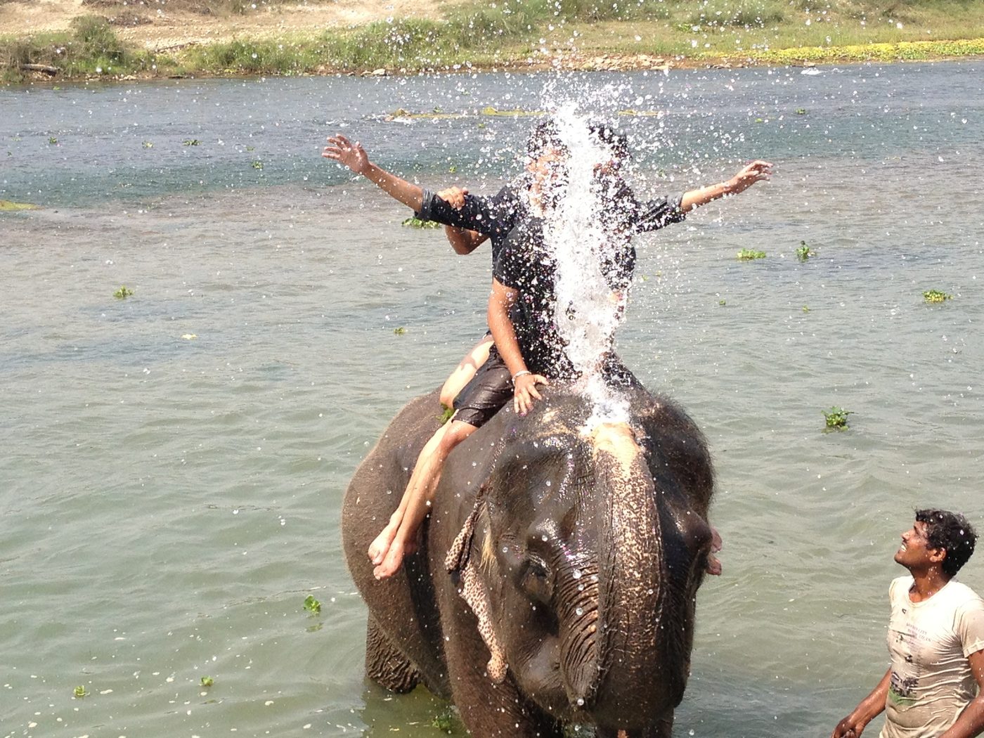 Elephant sanctuary bath