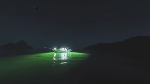 Night fishing
